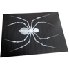 SpiderRug.png